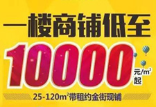 熱度持續(xù)不減！10000元/平米起買真金現(xiàn)鋪